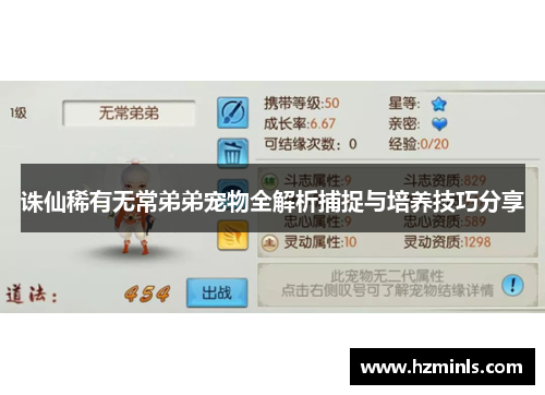 诛仙稀有无常弟弟宠物全解析捕捉与培养技巧分享
