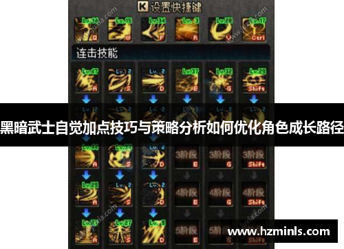 黑暗武士自觉加点技巧与策略分析如何优化角色成长路径